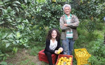 Redécouvrez les agrumes au naturel