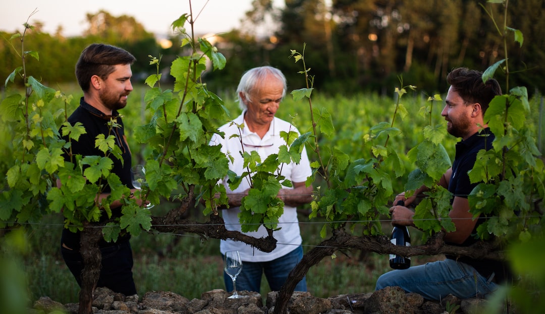 Vins Rosières Famille Royé